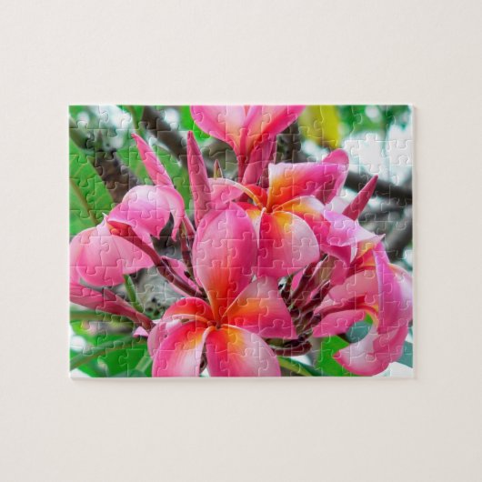Rosa Plumeria- oder Frangipani-Blume Puzzle (Horizontal)