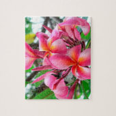 Rosa Plumeria- oder Frangipani-Blume Puzzle (Vertikal)
