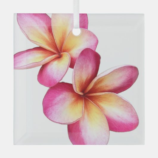 Rosa Plumeria Ornament Aus Glas (Vorderseite)