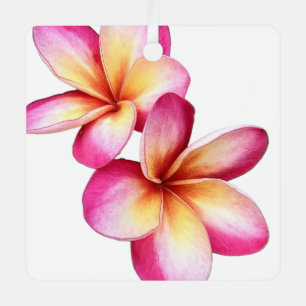 Rosa Plumeria Ornament Aus Metall