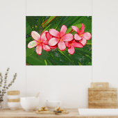 Rosa Plumeria Poster (Küche)