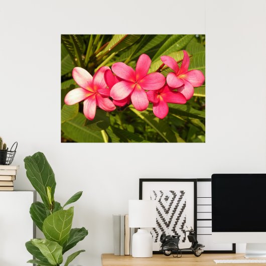 Rosa Plumeria Poster (Heimbüro)