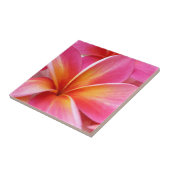 Rosa Plumeriafrangipani-Hawaii-Blumen-Hawaiianer Fliese (Seite)