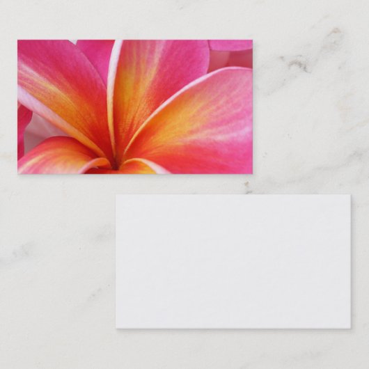 Rosa Plumeriafrangipani-Hawaii-Blumen-Hawaiianer Visitenkarte (Vorne/Hinten)