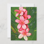 Rosa Plumerias Mitteilungskarte (Vorderseite)