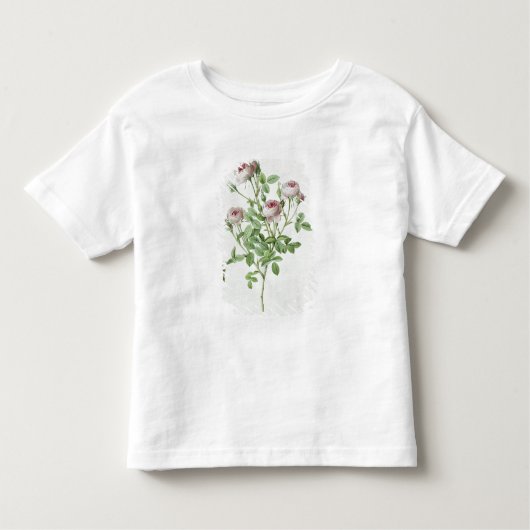 Rosa Pomponia, von 'Les Rosen Kleinkind T-shirt (Vorderseite)