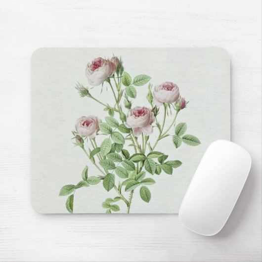 Rosa Pomponia, von 'Les Rosen Mousepad (Mit Mouse)