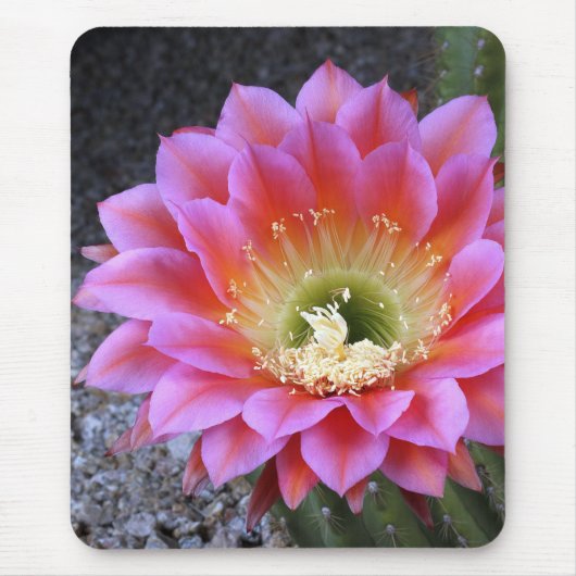 Rosa Pop Mousepad (Vorne)
