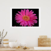 rosa poster (Küche)