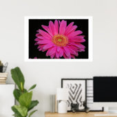 rosa poster (Heimbüro)