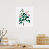 Rosa Poster (Küche)