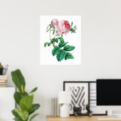 Rosa Poster (Heimbüro)