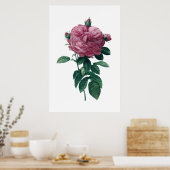 Rosa Poster (Küche)