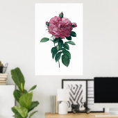 Rosa Poster (Heimbüro)