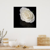 Rosa Poster (Küche)