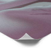 rosa poster (Ecke)