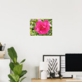 Rosa Poster (Heimbüro)
