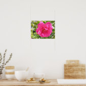 Rosa Poster (Küche)