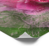 Rosa Poster (Ecke)