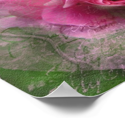 Rosa Poster (Ecke)