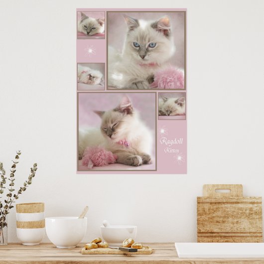 rosa Poster3 Poster (Küche)