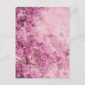 rosa postkarte (Vorderseite)