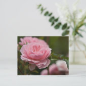 Rosa Postkarte (Stehend Vorderseite)