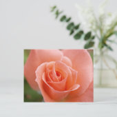 Rosa Postkarte (Stehend Vorderseite)