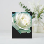 Rosa Postkarte (Stehend Vorderseite)