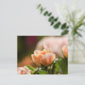 Rosa Postkarte (Stehend Vorderseite)