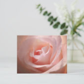 Rosa Postkarte (Stehend Vorderseite)