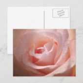 Rosa Postkarte (Vorne/Hinten)