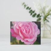 Rosa Postkarte (Stehend Vorderseite)