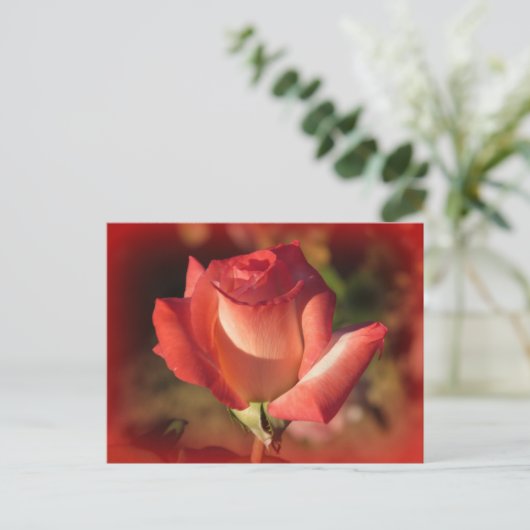 Rosa Postkarte (Stehend Vorderseite)