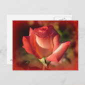 Rosa Postkarte (Vorne/Hinten)