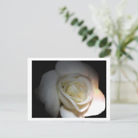 Rosa Postkarte (Stehend Vorderseite)