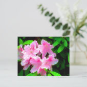 Rosa Postkarte (Stehend Vorderseite)