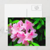 Rosa Postkarte (Vorne/Hinten)