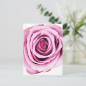 Rosa Postkarte (Stehend Vorderseite)