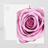 Rosa Postkarte (Vorne/Hinten)