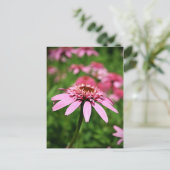 Rosa Postkarte (Stehend Vorderseite)