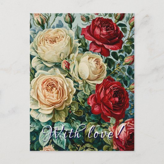 Rosa Pracht. Blumenstrauß aus Rose. Postkarte (Vorderseite)