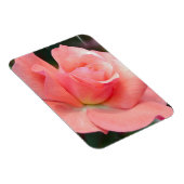 Rosa Premium Magnet (Rechte Seite)