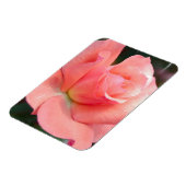 Rosa Premium Magnet (Linke Seite)