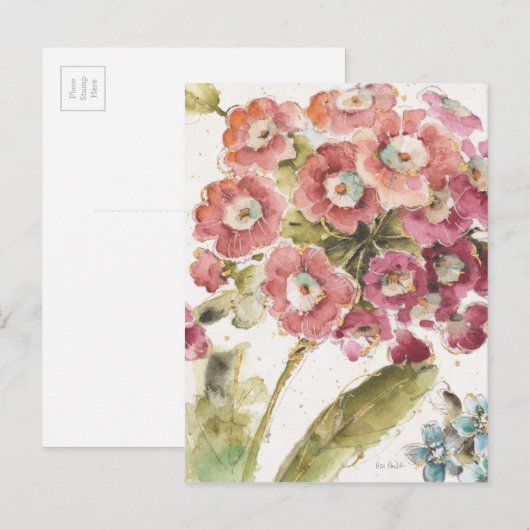 Rosa Primel Postkarte (Vorne/Hinten)