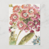 Rosa Primel Postkarte (Vorderseite)