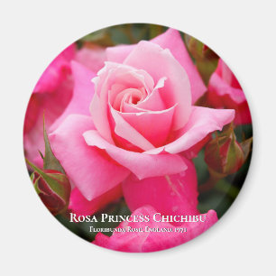 Rosa Princess グ Chichibuネ Magnet