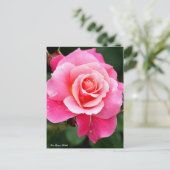 Rosa Princess Chichibu：Postcard Postkarte (Stehend Vorderseite)