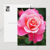 Rosa Princess Chichibu：Postcard Postkarte (Vorne/Hinten)