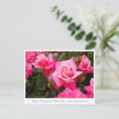 Rosa Princess Chichibu Postkarte (Stehend Vorderseite)